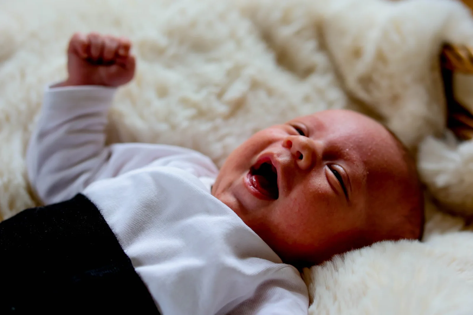 Familienmoment mit Neugeborenem
